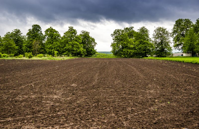 Farm Clearing in Houston, TX