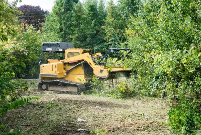 Farm Clearing in Salt Lake City, UT
